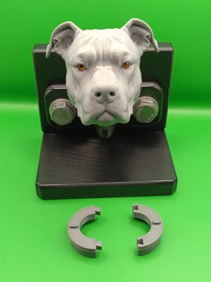 PITBULL1