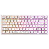 Dark Project ALU81A Terra Nostra White, G3MS Moonstone Switch, RU