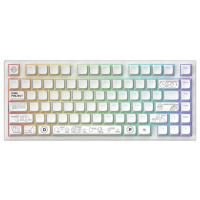 Dark Project ALU81A Terra Nova White, G3MS Moonstone Switch, RU