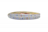 6W LED Lenta 24V IP65