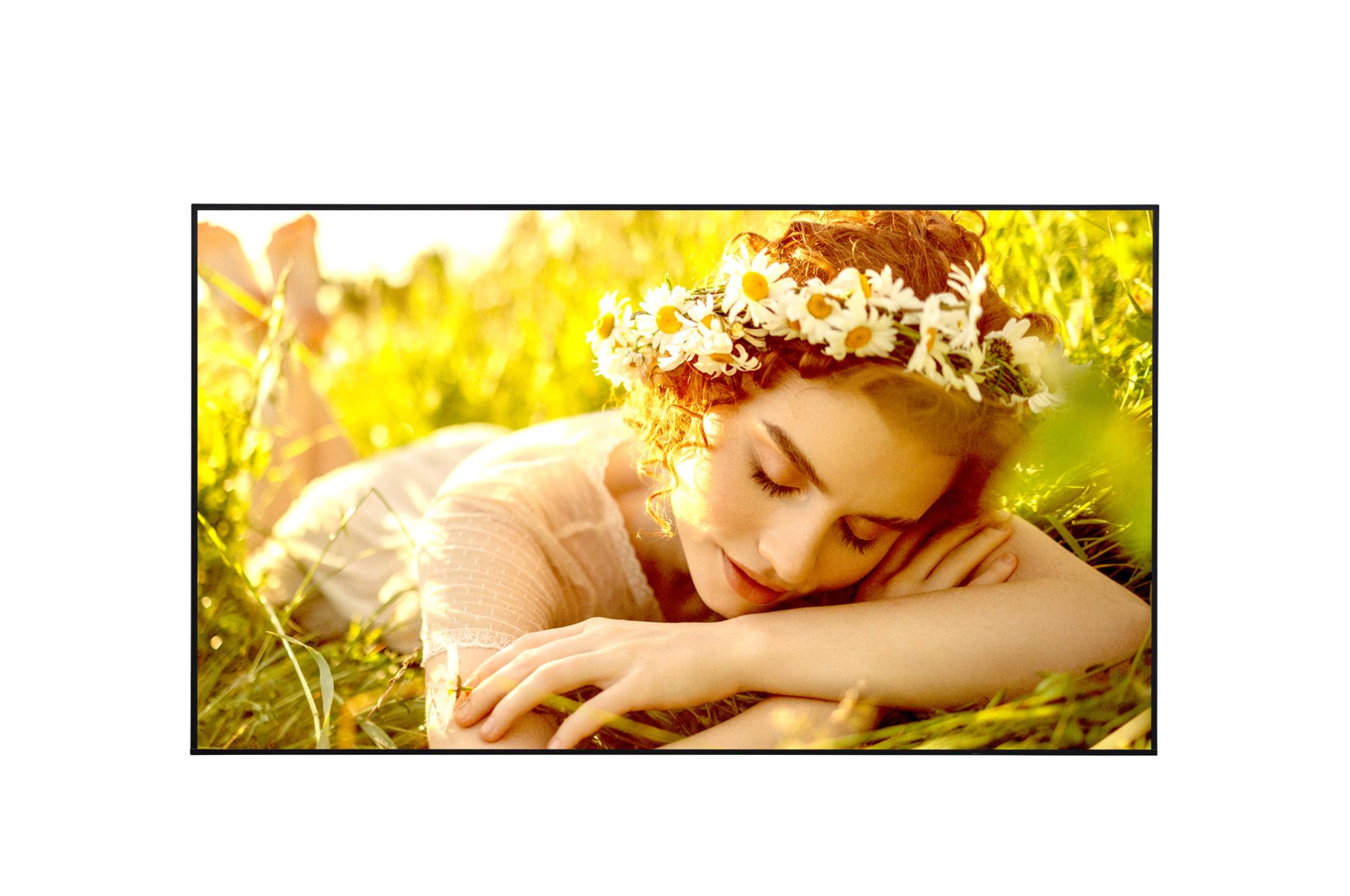 DISPLAY LCD 75" 4K/75UL5Q-M LG