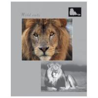 Klade rūtiņu 96lp. "Wild Cats" D