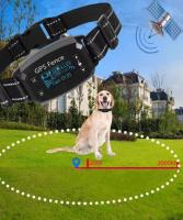Bezvadu Suņu radiosēta ar GPS pozicionēšanu, 30m-2000m žoga diapazons, 1 sunim, uzlādējama, regulējami apmācības līmeņi
