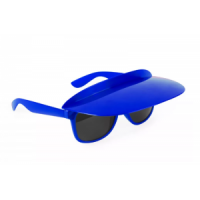 Brilles Nr.109/139