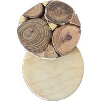 Paliknis traukiem -  ozolkoka. OAK048