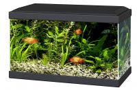 Ciano Aqua 20 LED Black, 17L - aprīkots akvārijs
