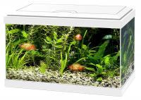 Ciano Aqua 20 LED White, 17L - aprīkots akvārijs