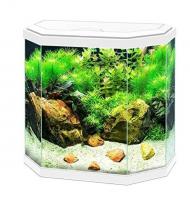 Ciano Aqua 30 LED White, 25L - aprīkots akvārijs
