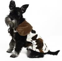 Karlie Flamingo Cattle Coat, 37cm